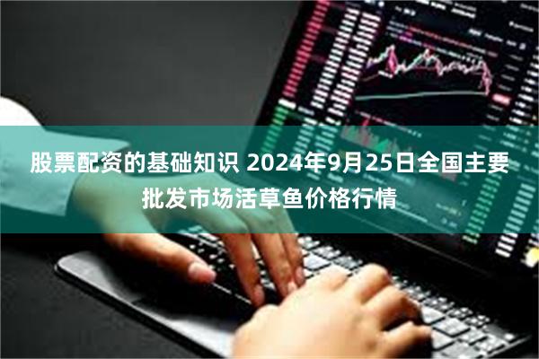 股票配资的基础知识 2024年9月25日全国主要批发市场活草鱼价格行情