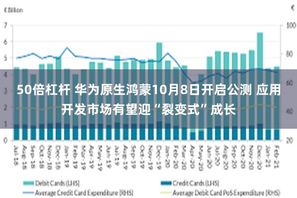 50倍杠杆 华为原生鸿蒙10月8日开启公测 应用开发市场有望迎“裂变式”成长