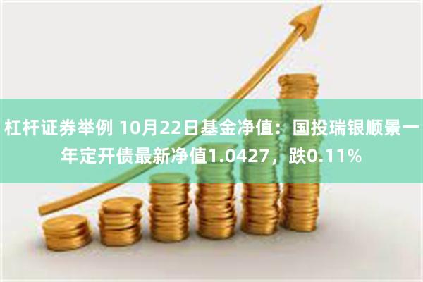 杠杆证券举例 10月22日基金净值：国投瑞银顺景一年定开债最新净值1.0427，跌0.11%