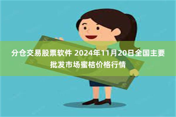 分仓交易股票软件 2024年11月20日全国主要批发市场蜜桔价格行情