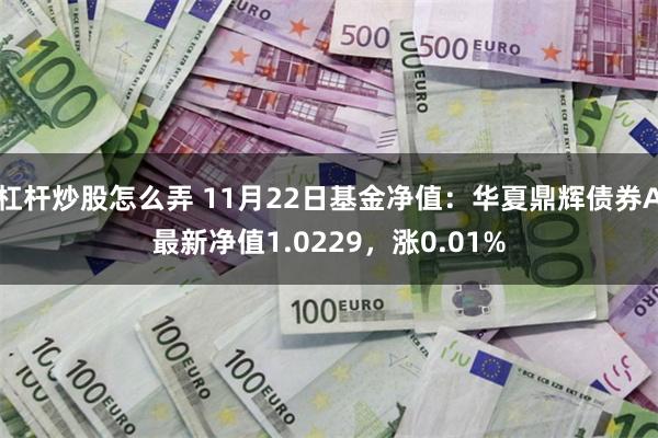 杠杆炒股怎么弄 11月22日基金净值：华夏鼎辉债券A最新净值1.0229，涨0.01%