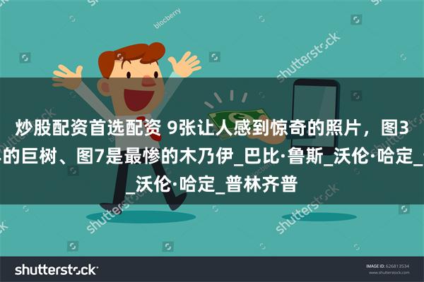炒股配资首选配资 9张让人感到惊奇的照片，图3是四千年的巨树、图7是最惨的木乃伊_巴比·鲁斯_沃伦·哈定_普林齐普