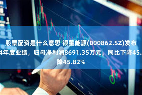 股票配资是什么意思 银星能源(000862.SZ)发布2024年度业绩，归母净利润8691.35万元，同比下降45.82%