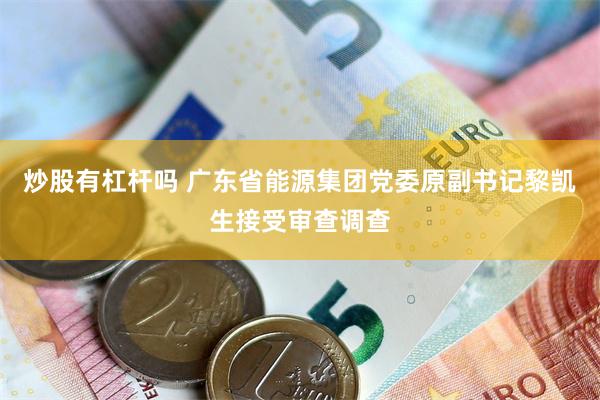 炒股有杠杆吗 广东省能源集团党委原副书记黎凯生接受审查调查